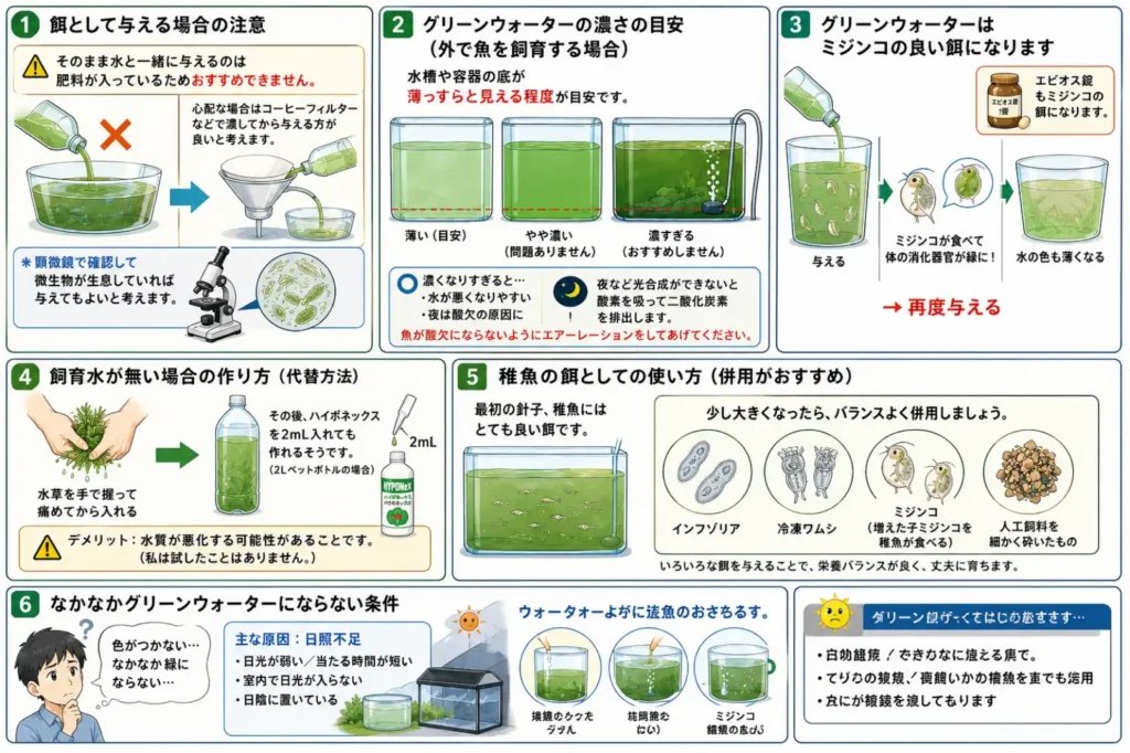 グリーンウォーターの与え方、適切な濃さ、ミジンコや稚魚への活用方法、作り方の代替案、日照不足への対策を6項目でまとめた横長の図解です。肥料入りの水をそのまま与えず、必要に応じて濾すことや、濃くなりすぎた場合は酸欠防止のためエアーレーションを行うことも説明しています。