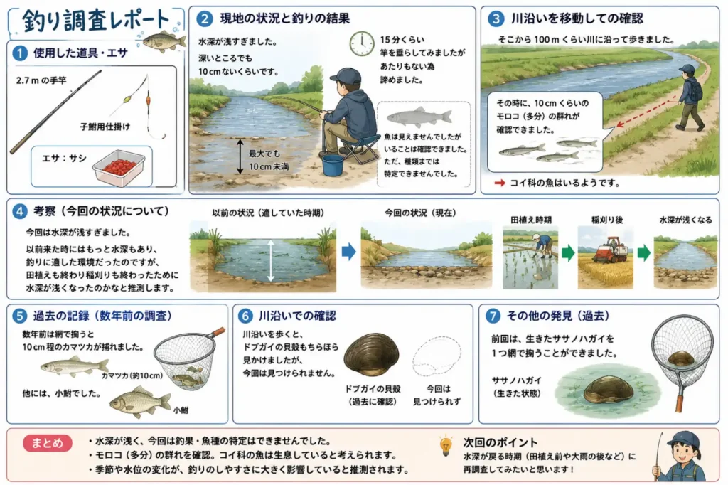 2.7mの手竿と子鮒用仕掛け、サシを使った川での釣り調査をまとめた図解。水深は深い場所でも10cm未満で、15分ほど釣りをしたもののアタリはありませんでした。川沿いを約100m歩くと、10cmほどのモロコと思われる群れを確認。過去にはカマツカ、小鮒、ドブガイの貝殻、生きたササノハガイも見つかっています。今回は田植えや稲刈り後の影響で水位が下がった可能性があると考察しています。